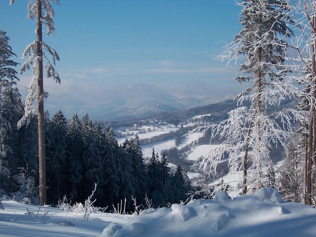 Penzion Čertovy Kameny Jeseník Exteriér fotografie